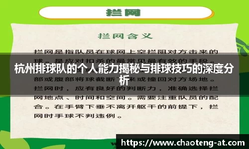 杭州排球队的个人能力揭秘与排球技巧的深度分析